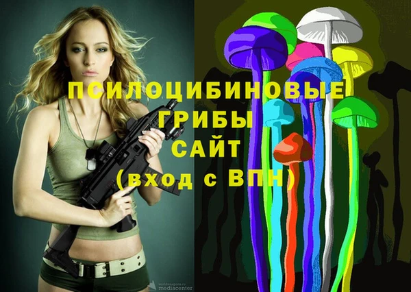 ALPHA PVP Вяземский