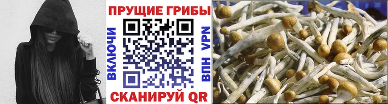 магазин продажи наркотиков Санкт-Петербург Псилоцибиновые грибы MAGIC MUSHROOMS